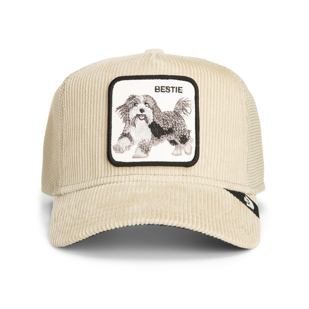 GOORIN BROS - DAPPER BESTIE CORDUROY - Scout