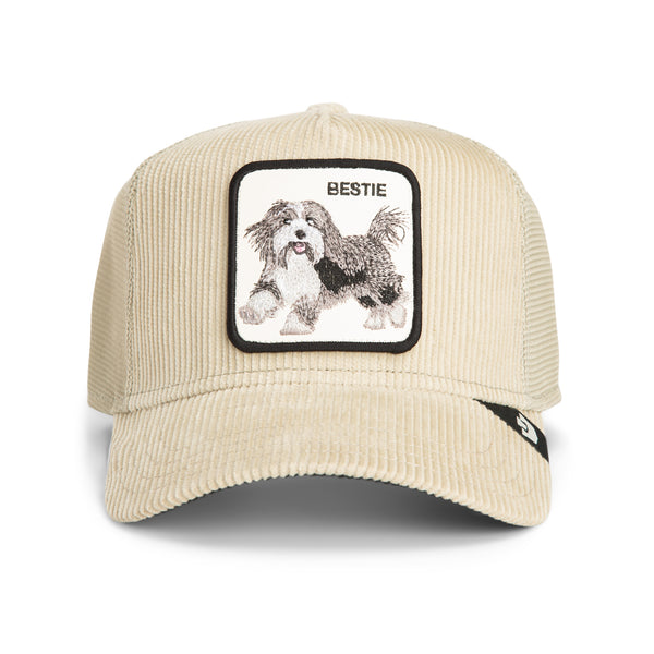 GOORIN BROS - DAPPER BESTIE CORDUROY - Scout