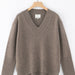 ALEGER No 84 Cashmere Blend Oversized V Neck - Almond