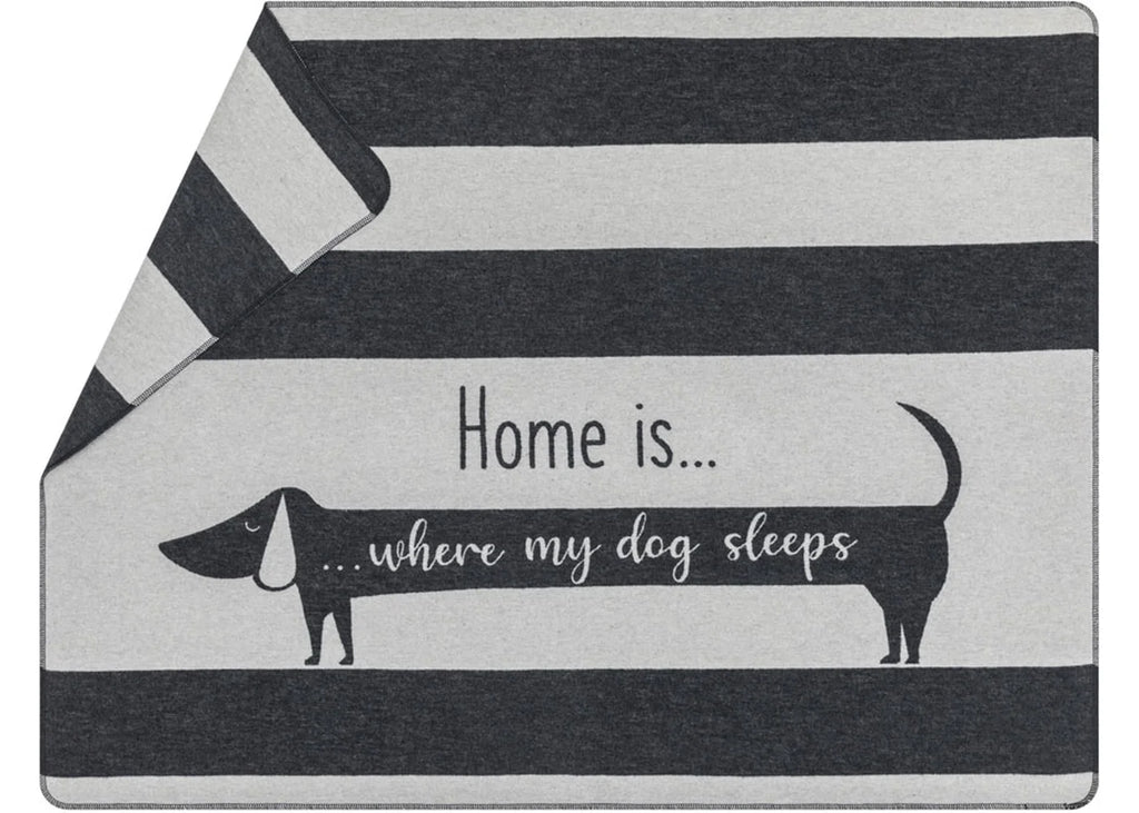 DAVID FUSSENEGGER - "HOME is WHERE my DOG SLEEPS" large blanket