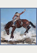 FAR MER by Whitney - "BRONC BOY" SILK BANDANA  65cm x 65cm