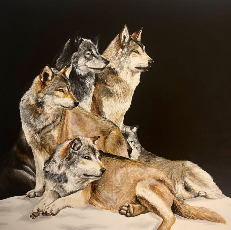 MELINDA HELBLING - CALL of the WILD