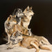 MELINDA HELBLING - CALL of the WILD
