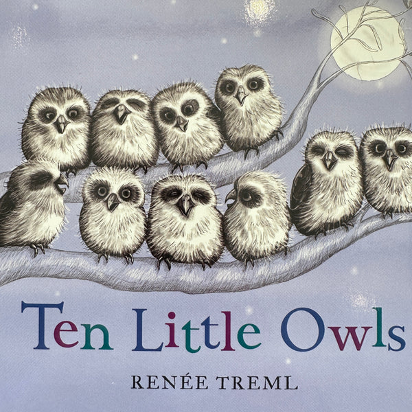 TEN LITTLE OWLS