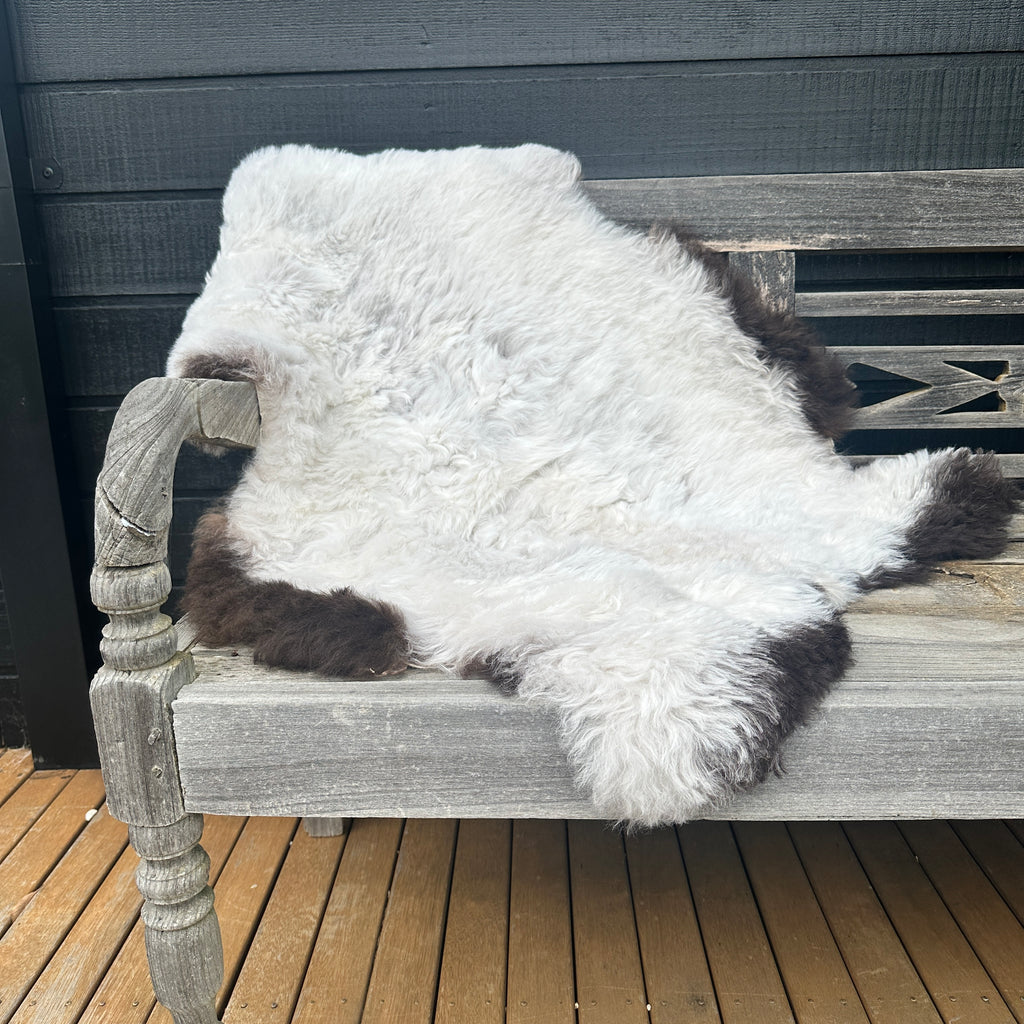 ICELANDIC  SHEEPSKIN - Shorn with Dark Edges #001