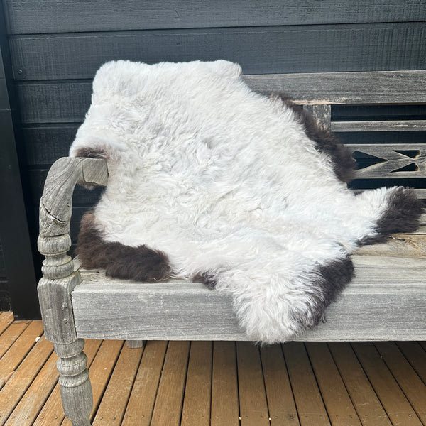 ICELANDIC  SHEEPSKIN - Shorn with Dark Edges #001