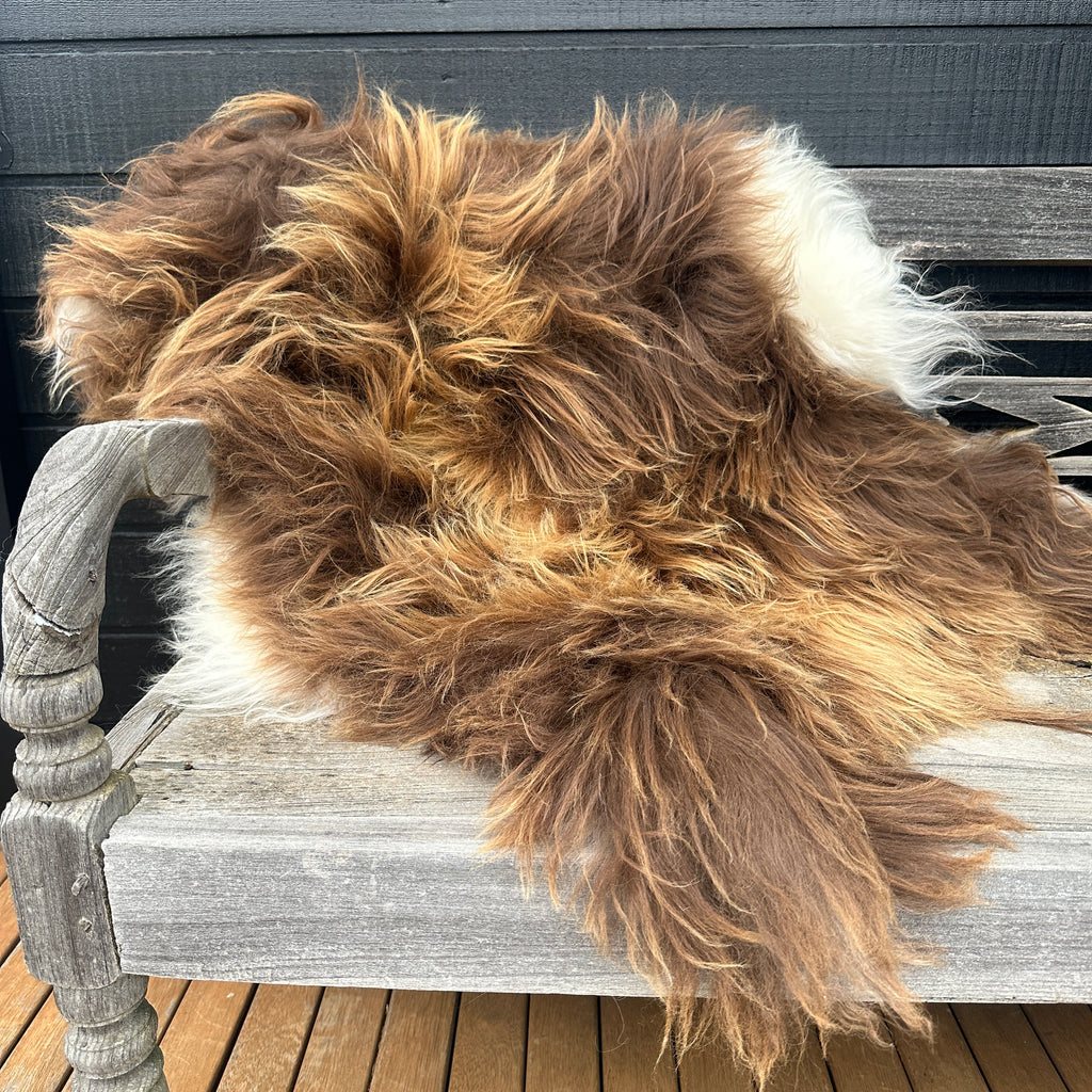 ICELANDIC SHEEPSKIN  - Long Haired Jersey Caramel #009