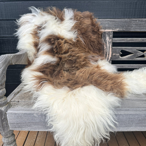 ICELANDIC SHEEPSKIN  - Long Haired Caramel & White Mix #007