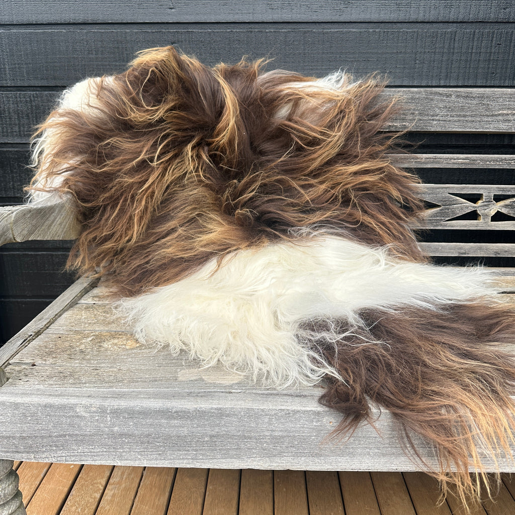 ICELANDIC SHEEPSKIN  - Long Haired Caramel & White Mix #008