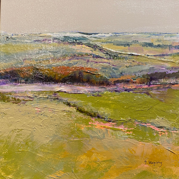 LOST VALLEY by SUE MAGAREY