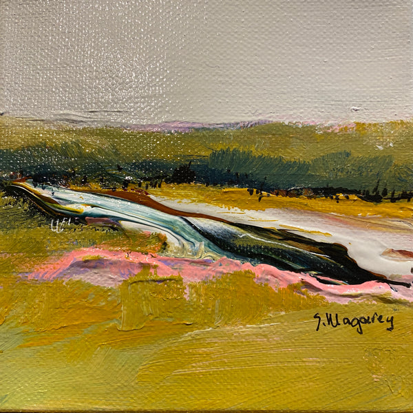 GULLY by SUE MAGAREY