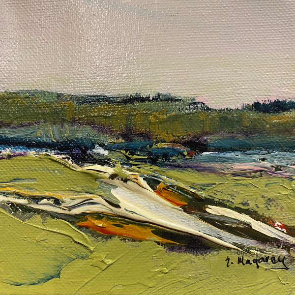 THE GULLY by SUE MAGAREY