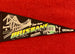 VINTAGE PENNANT - SOUVENIR OF BRISBANE, QUEENSLAND