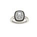 SYBELLA JEWELLERY - SIENNA BLACK AND CLEAR RING