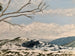 SNOW COVERED JINDABYNE by Peter Taylor