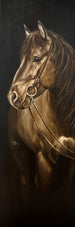 MELINDA HELBLING - THE NOBLE THREE (sets 3)