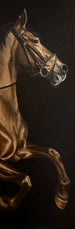 MELINDA HELBLING - THE NOBLE THREE (sets 3)