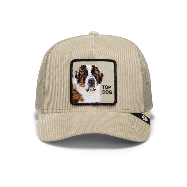 GOORIN BROS - CORDUROY TOP DOG - Scout