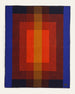 PENDLETON - Contemporary Napped Throw HOYT